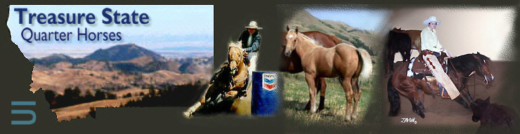 Treasure State Quarter Horses, Chinook, Montana. Una Crowley Ford and Todd Ford.
