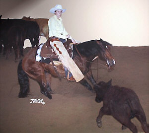 Paddys Shota Merada has earned over $7,000 NCHA Lifetime Earnings, in spite of limited showing.